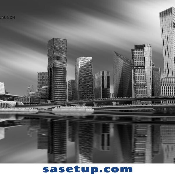 RHQ vs Standard Foreign License in Saudi Arabia: What’s the Difference?