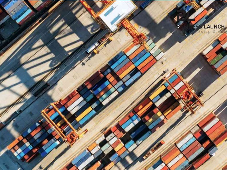 Import and Export License