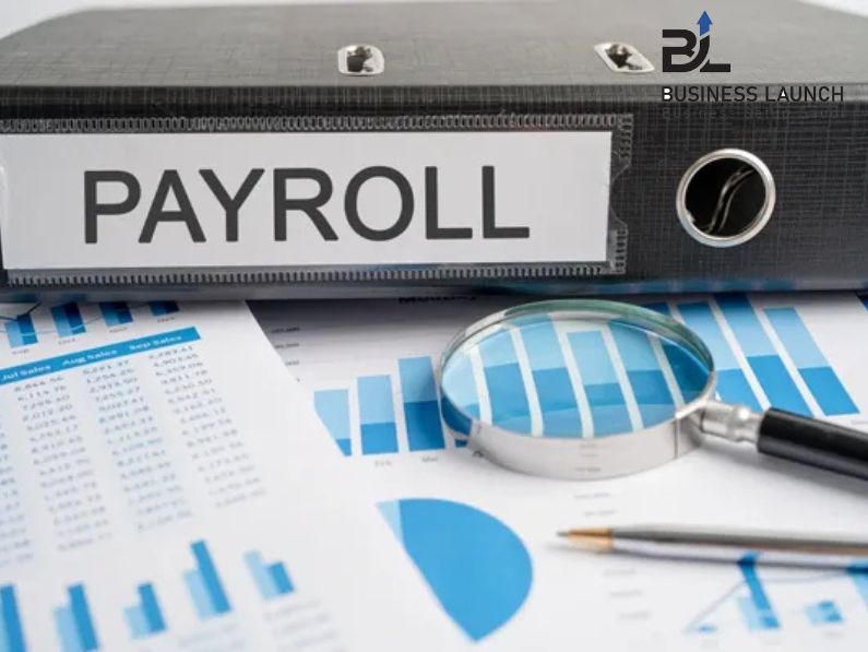 Payroll Setup in Saudi Arabia