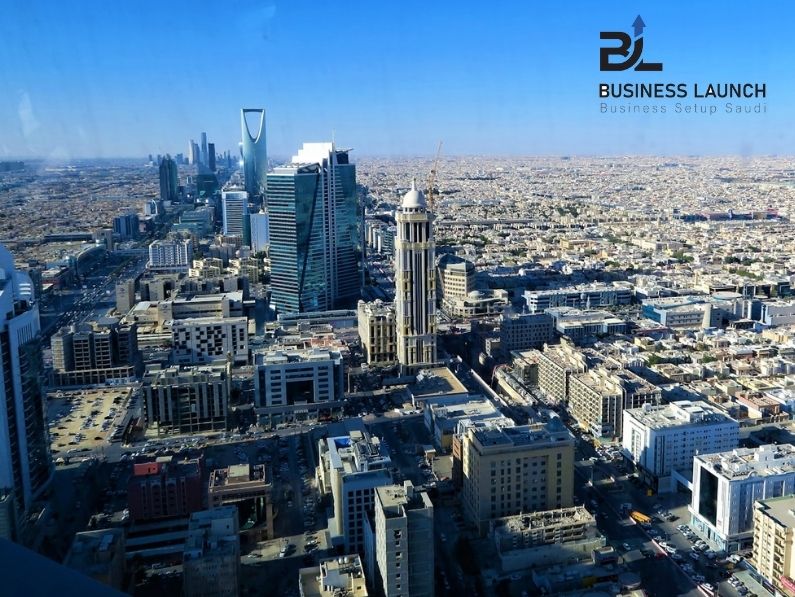 Saudi Investor Visa