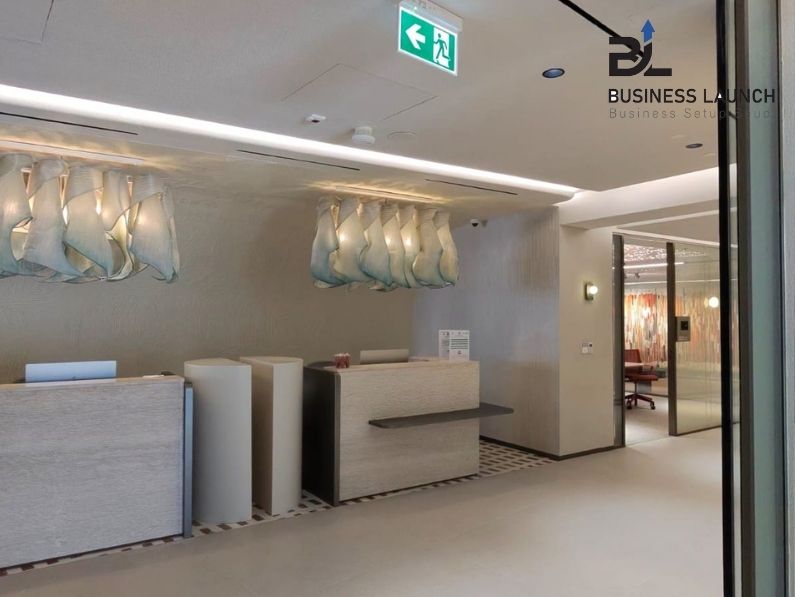 Business Launch Company